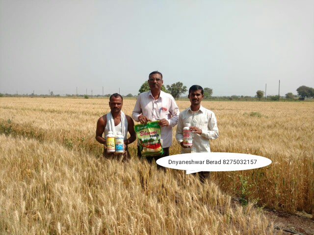 Green Planet Bio Products Ahmednagar Mobile  shop Ahmednagar